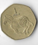 Moneda 1 pula 2007 - Botswana, Africa, Cupru-Nichel