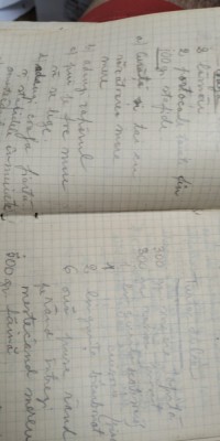 Carnetel cu insemnari radu Beligan cca 1950 foto