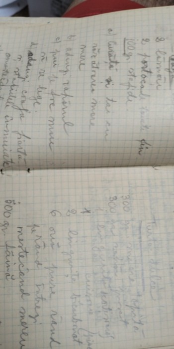 Carnetel cu insemnari radu Beligan cca 1950