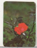 Bnk cld Calendar de buzunar - 1980 - RECOOP