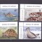 ROMANIA 2020 - ANIMALE DE TIP LEOPARD, MNH - LP 2290 CU TABS