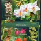 Centrafricana 2017, Flora, Orhidee, MNH