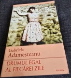 Gabriela Adamesteanu - Drumul egal al fiecarei zile