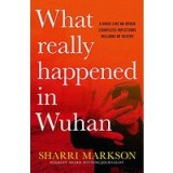 What Really Happened In Wuhan