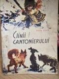Cainii cantonierului - Radu Toma