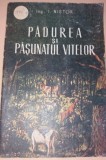 PADUREA SI PASUNATUL VITELOR NISTOR