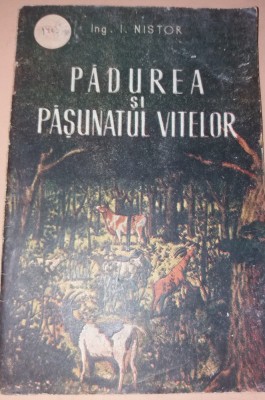 PADUREA SI PASUNATUL VITELOR NISTOR foto
