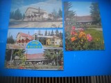 HOPCT LOT 3732 -IP- -3 CARTI POSTALE-IZVORUL MURESULUI -JUD HARGHITA-CIRCULATE, Circulata, Printata
