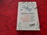 Caiet de ricoșat g&acirc;nduri Gabriel Liiceanu EDITIE DE LUX RF22/2, Alta editura, Marin Sorescu