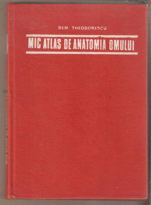 Mic atlas de anatomia omului-Dem Theodorescu foto