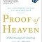 Proof of Heaven: A Neurosurgeon&#039;s Journey Into the Afterlife