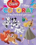 Disney. Prima mea carte de colorat. O zi de primavara speciala - Litera