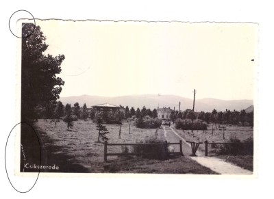 CP Miercurea Ciuc, ocupatia maghiara, dantelata, circulata 1941, stare buna foto