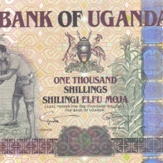 Bancnota Uganda 1.000 Shilingi 2007 - P43b UNC