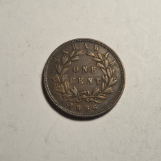 Sarawak 1 One Cent 1886 Piesa Frumoasa