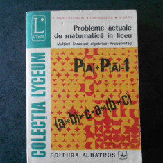 Eremia Georgescu Buzau - Probleme actuale de matematica in liceu