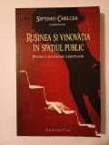 Septimiu Chelcea - Rușinea și vinovăția &icirc;n spațiul public