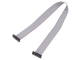 Cablu panglică SAMTEC IDC 10 pini 254mm FFSD-10-D-10.00-01-N
