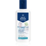 Salt House Dead Sea Therapy Anti-grease Shampoo șampon pentru scalp gras 250 ml