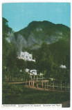 270 - Baile HERCULANE, Geothermal base, Romania - old postcard - unused - 1912, Necirculata, Printata