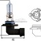 Bec Narva HB3 12V 60W 480053000