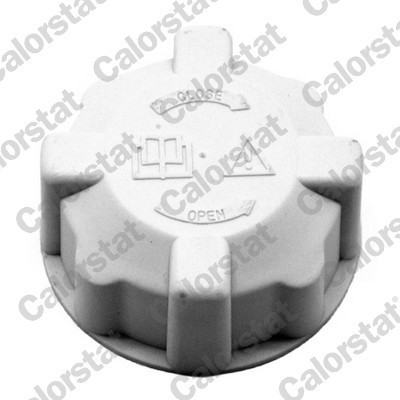 CALORSTAT by Vernet RC0031 buson vas expansiune