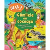 DE CE&hellip;? Camilele au cocoasa si alte intrebari despre animale - Anita Ganeri