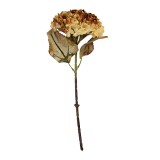 Cumpara ieftin Hortensie artificiala verde galbena 15x15x47 cm