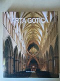 Arta si arhitectura Gotica editura Aquila