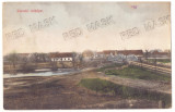 3367 - CHIZATAU, Beliut, Timis, Panorama, Bridge - old postcard - used - 1910, Circulata, Printata