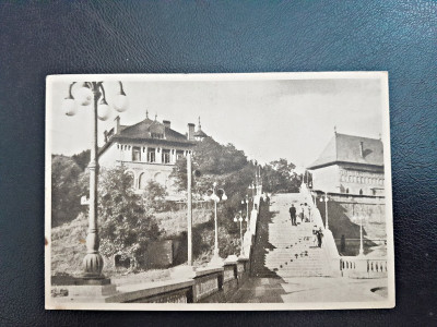 Carte Postala, Piatra Neamt, R.P.R., necirculata foto