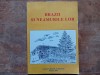 BRAZII SI NEAMURILE LOR , DOCUMENTE , EVOCARI , IMAGINI , 2012 (Autograf)