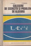 I. Stamate, I. Stoian - Culegere de exercitii si probleme de algebra pentru
