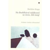 Ha Buddh&aacute;val tal&aacute;lkozol az &uacute;ton, &ouml;ld meg! - Sheldon Kopp