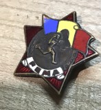 Insigna 0001 rpr sportiv alergari