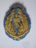 Petlita General aviatia militara anii 90