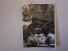 Lot 2 fotografii de la Teiul lui Eminescu din Parcul Copou din Iași
