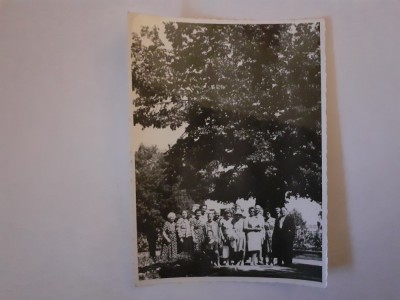 Lot 2 fotografii de la Teiul lui Eminescu din Parcul Copou din Iași foto