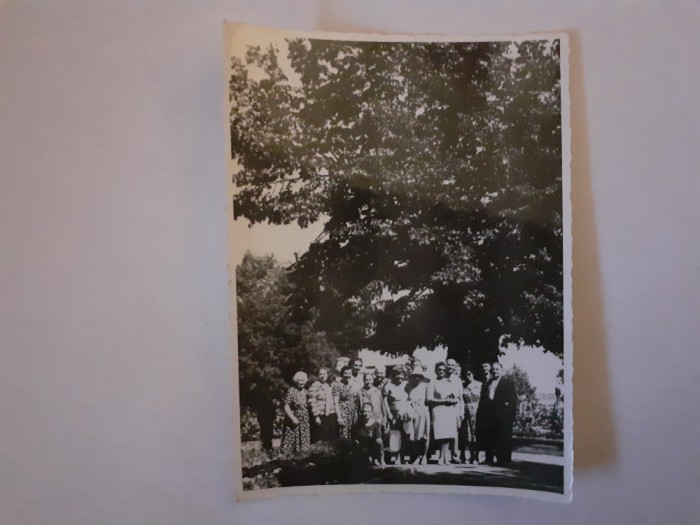 Lot 2 fotografii de la Teiul lui Eminescu din Parcul Copou din Iași