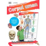 Corpul uman. Planșe educaționale - Paperback - *** - Litera
