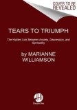 Tears to Triumph: The Spiritual Journey from Suffering to Enlightenment