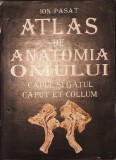 Ion Pasat - Atlas de anatomia omului - Capul și g&acirc;tul