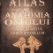 Ion Pasat - Atlas de anatomia omului - Capul și g&acirc;tul