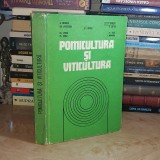 A. NEGRILA - POMICULTURA SI VITICULTURA , 1980 *