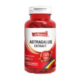 Astragalus Extract 60 capsule Adnatura