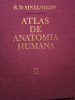 R. D. Sinelnikov - Atlas de anatomia humana, vol. II (1986)