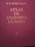 R. D. Sinelnikov - Atlas de anatomia humana, vol. II (1986)