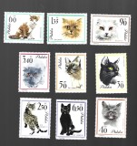 polonia mnh