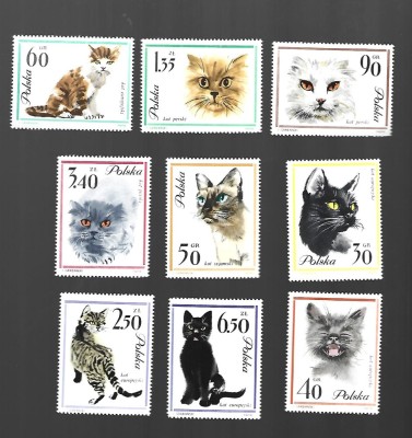 polonia mnh foto