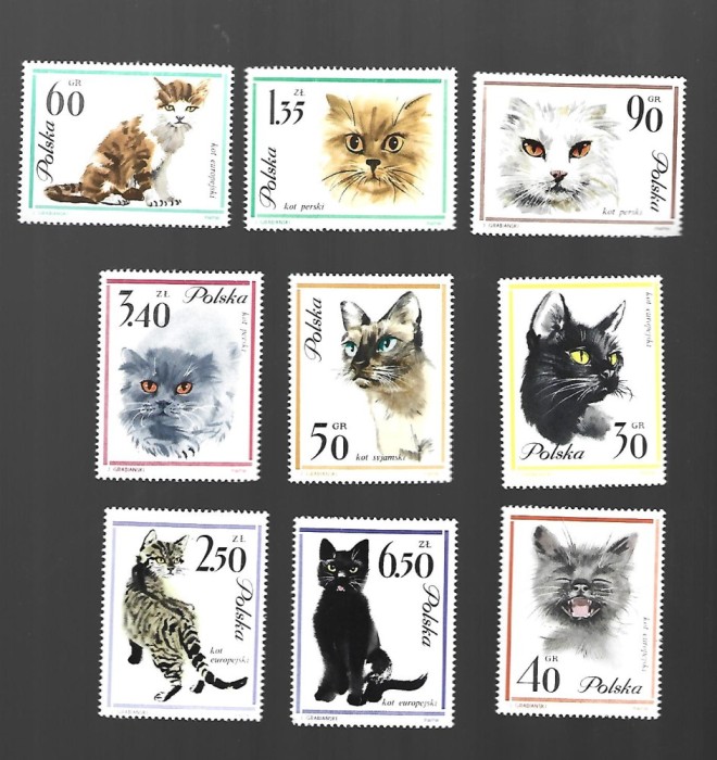 polonia mnh